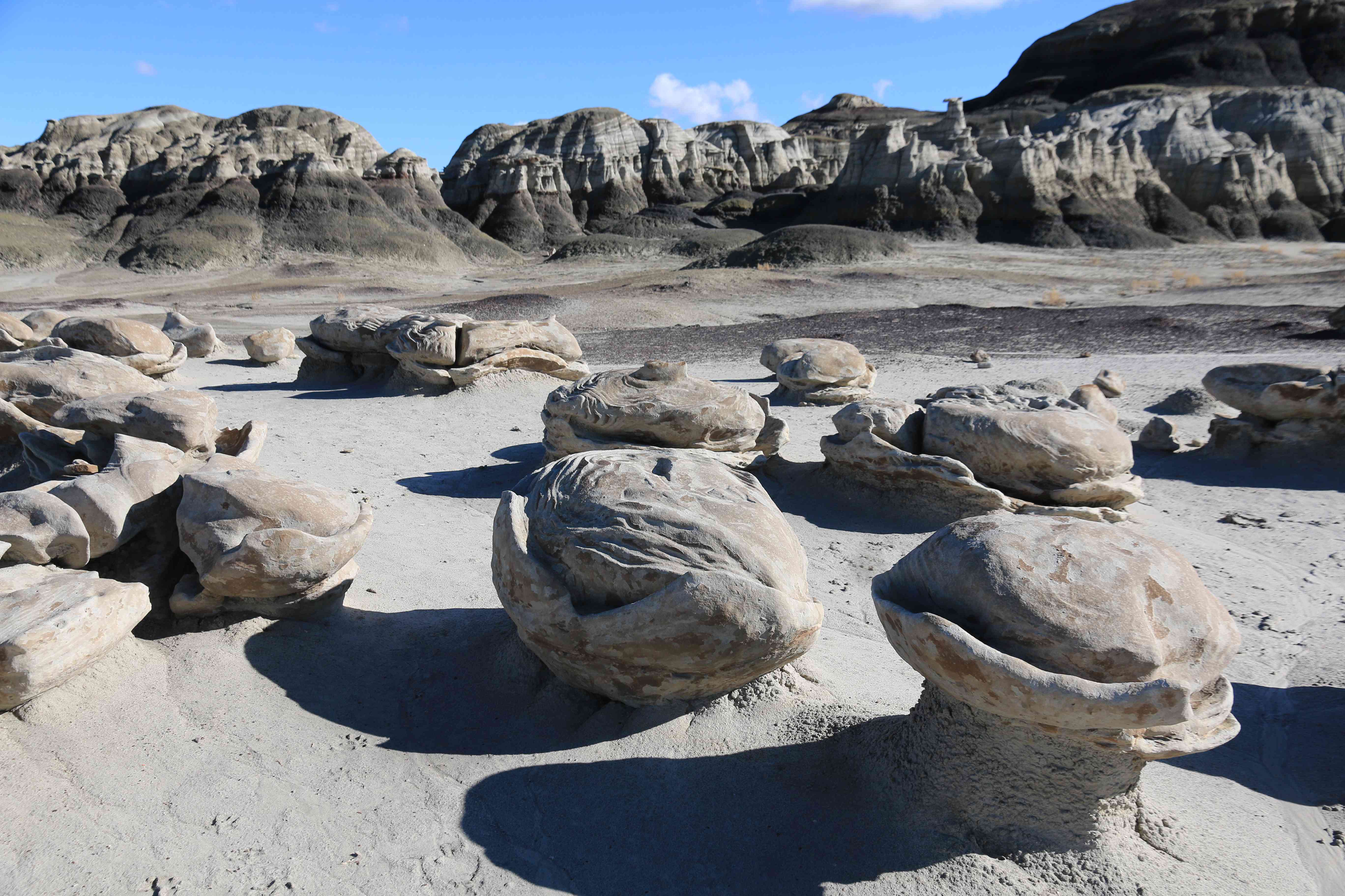 Bisti Badlands